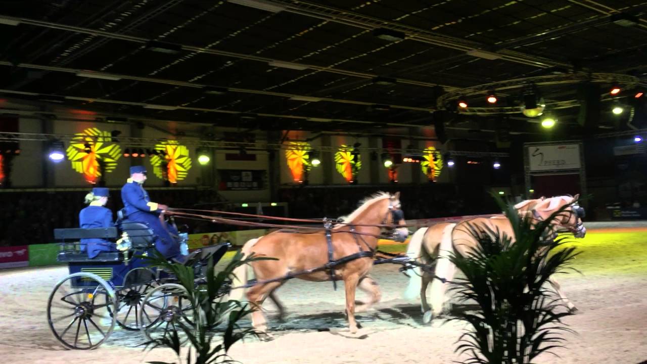 Fohlenhof 4-Sp&auml;nner - Nacht der Pferde - PFERD WELS 2016