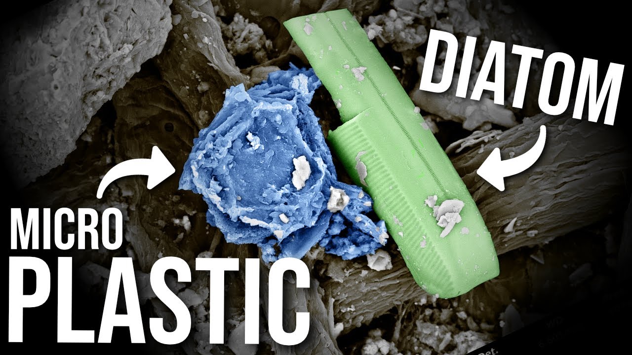 Extracting Microplastics with Olive Oil