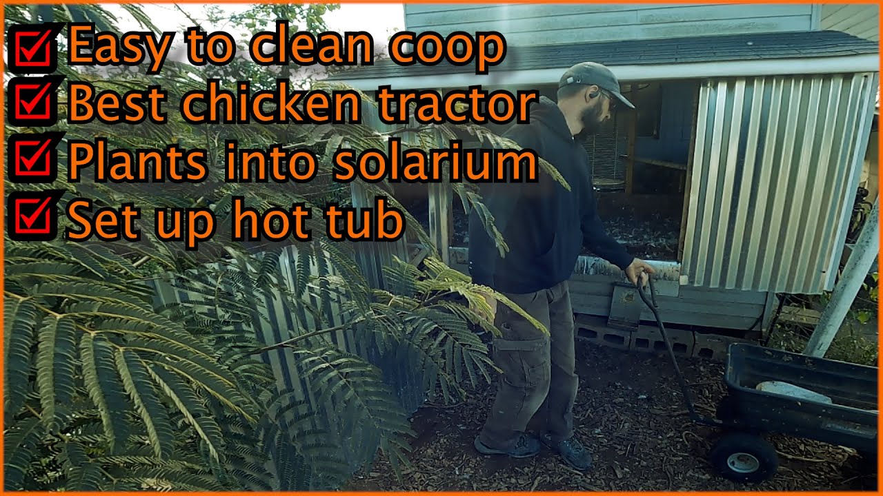 Relaxing ASMR Farm Chores