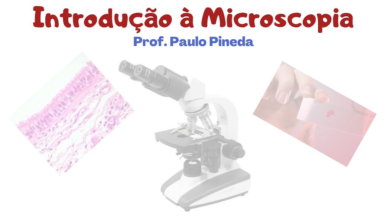 Histologia - Introdu&ccedil;&atilde;o a Microscopia &Oacute;ptica