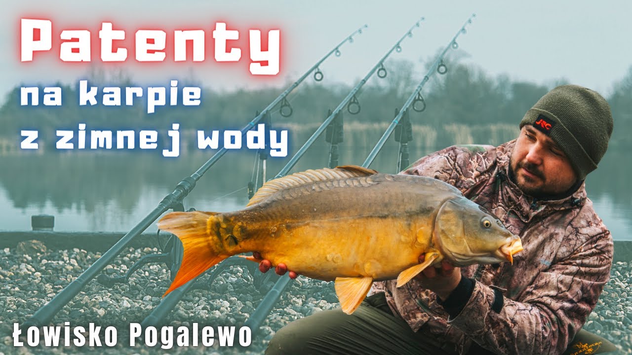 ŁOWIMY KARPIE W ZIMNEJ WODZIE - 12 brań w grudniu!!! Łowisko Pogalewo