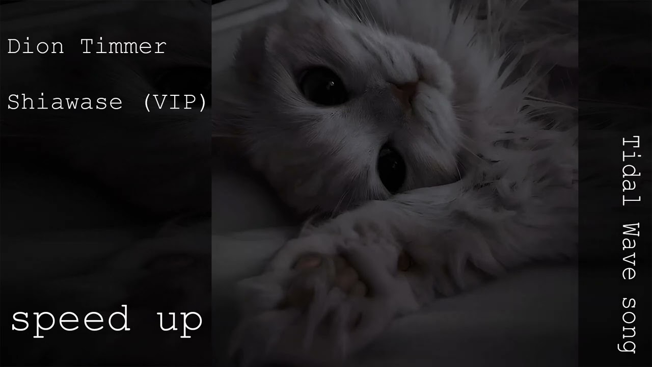 Dion Timmer - Shiawase (VIP) speed up
