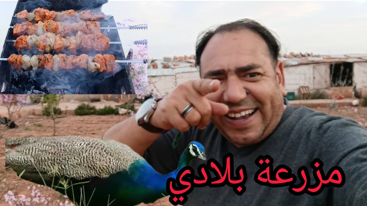 🏞️اليوم العاشر من رمضان💯اجواء خيالية من مزرعة بلادي🍒معى مول العصير🥰