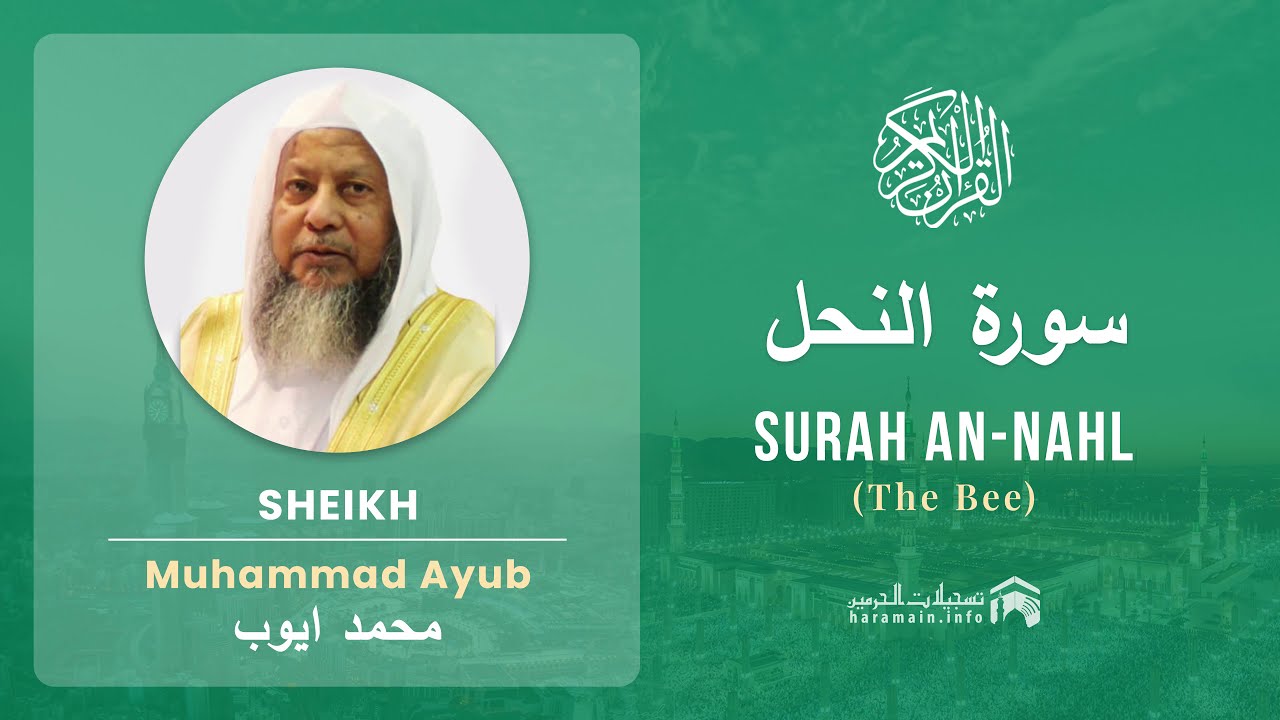 Quran 16   Surah An Nahl سورة النحل   Sheikh Mohammad Ayub - With English Translation