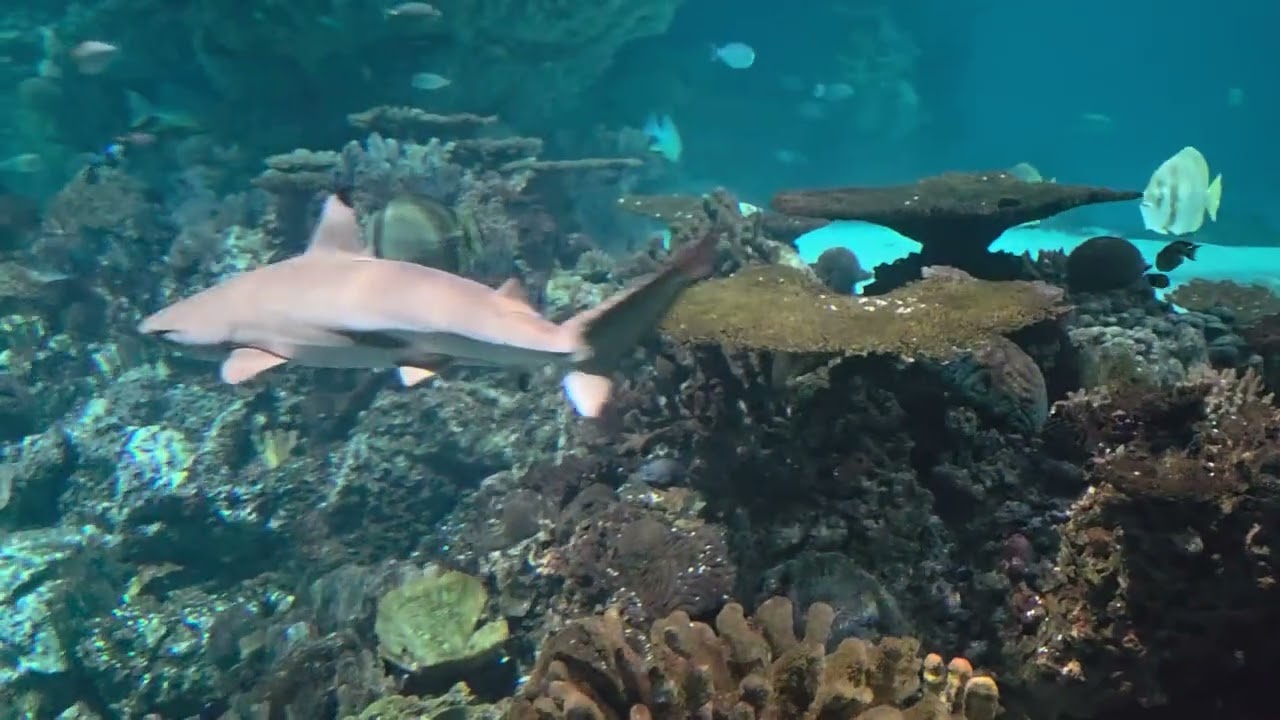 Baltimore aquarium.  Biggest aquarium in Maryland.  Special discount due to cold weather