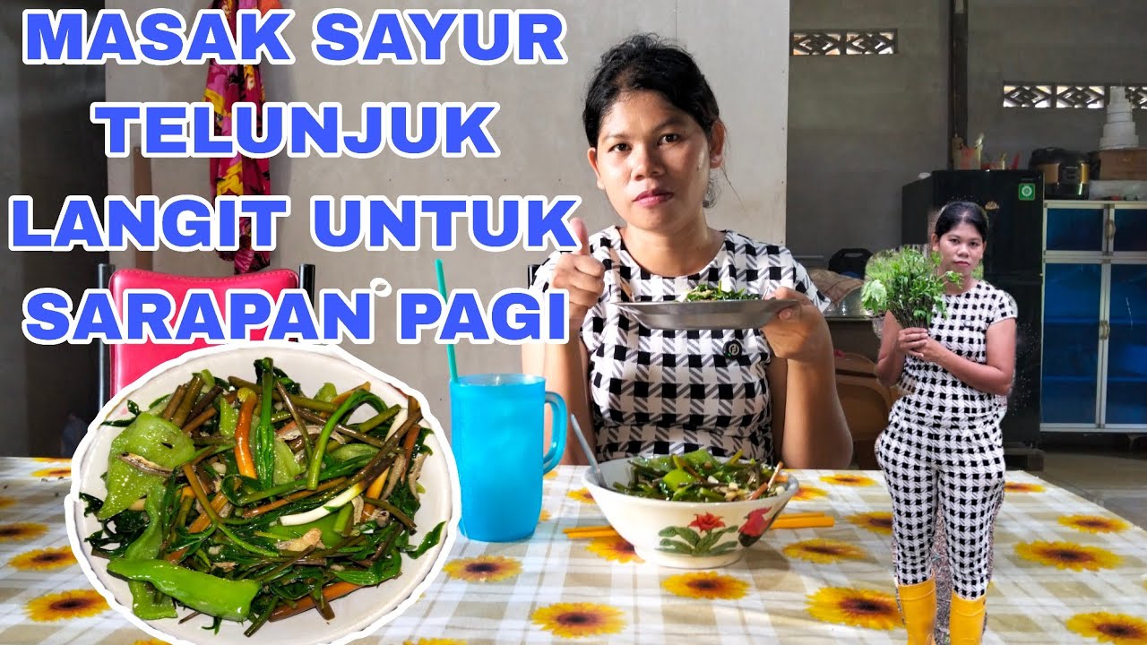 PERGI KE HUTAN ATAU KE KEBUN CARI SAYUR LIAR TELUNJUK LANGIT