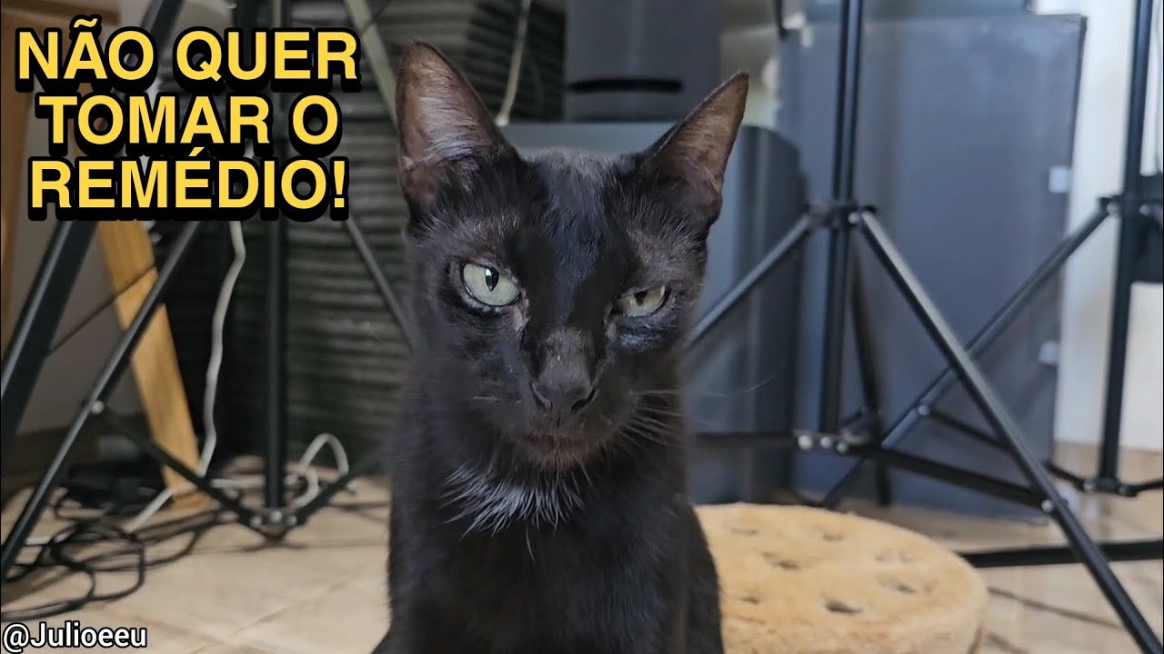 Enquanto o Júlio se recupera  !! #Vlog