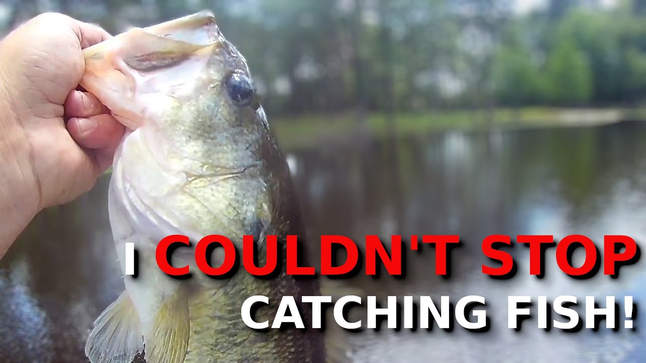 The BEST Lures You NEVER Fished With!!!! (But SHOULD!!!!)