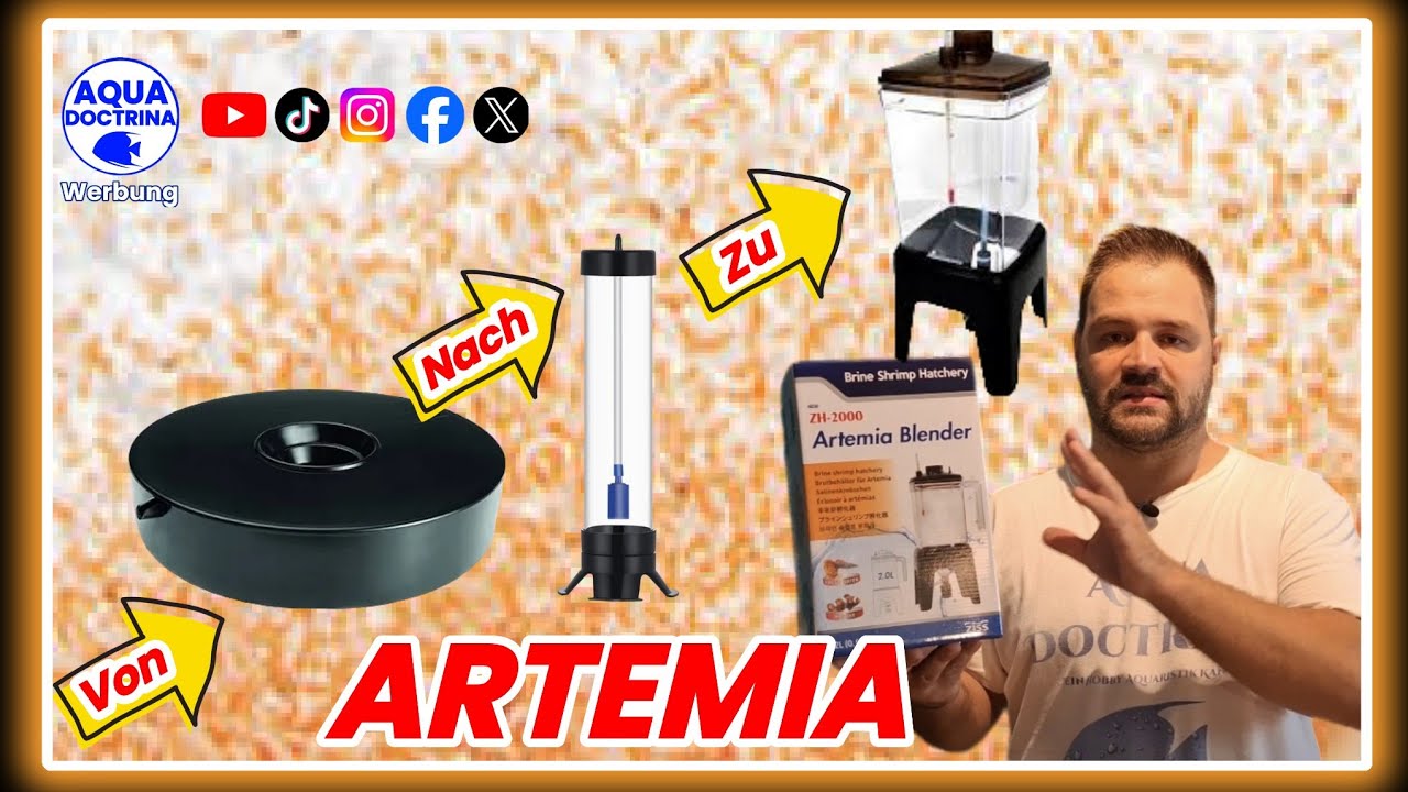 Artemia erbrüten mit dem Aqua Ziss ZH-2000 Unboxing Folge: 84