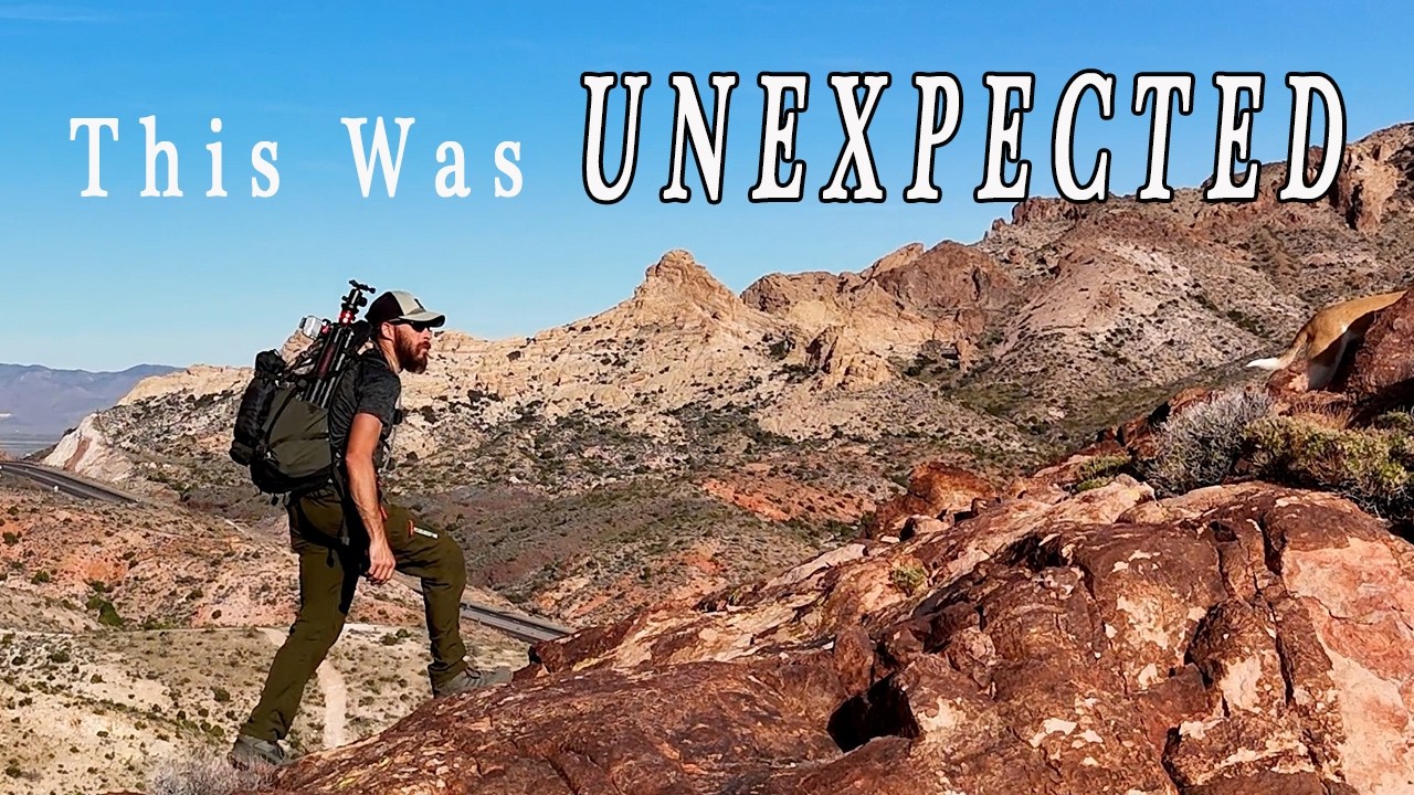 The Weather Tried to Rob Me of My Shots | Arizona Landscape