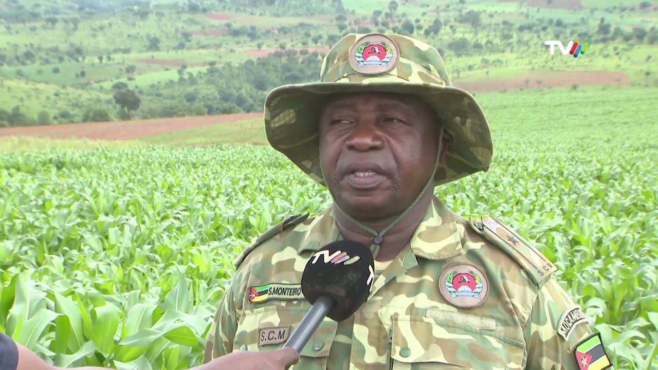 Produção de milho no distrito de Tsangano: Serviço Cívico de Moçambique prevê alcançar 60 toneladas