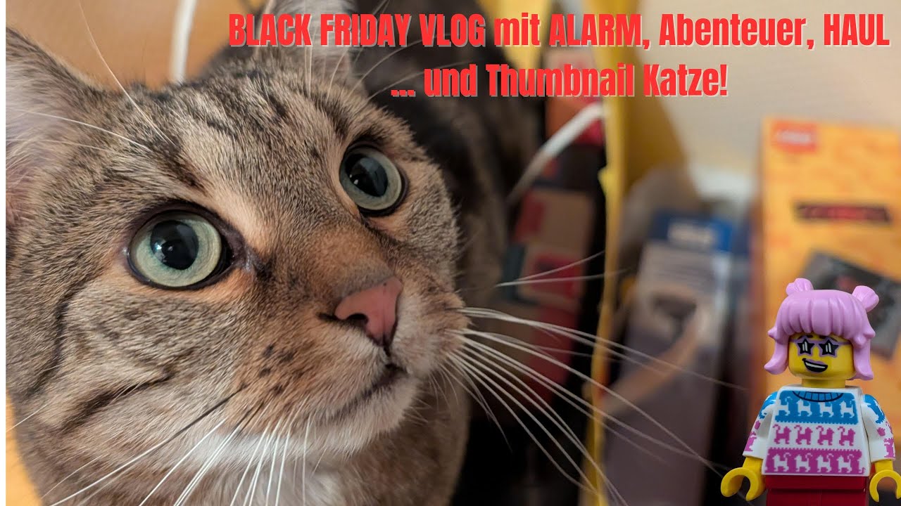 Black Friday VLOG mit Alarm, Abenteuer und kleinem HAUL!