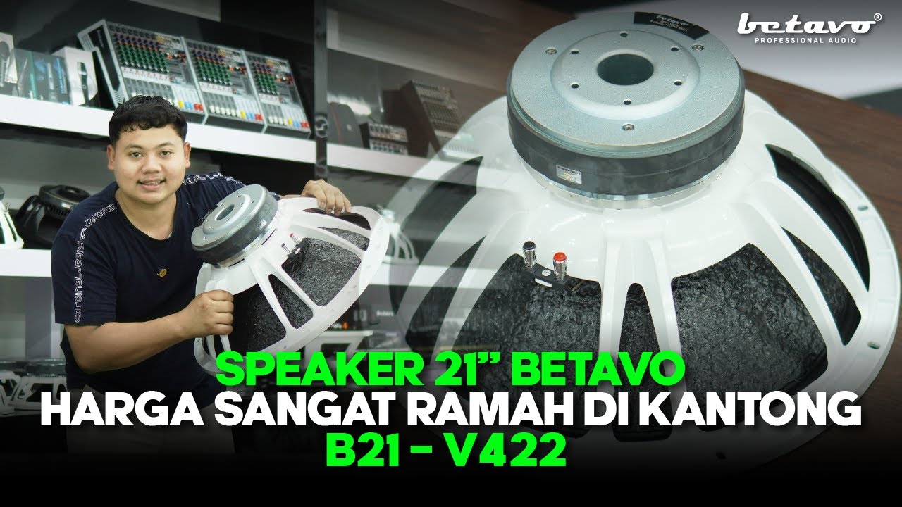 SPEAKER BETAVO 21