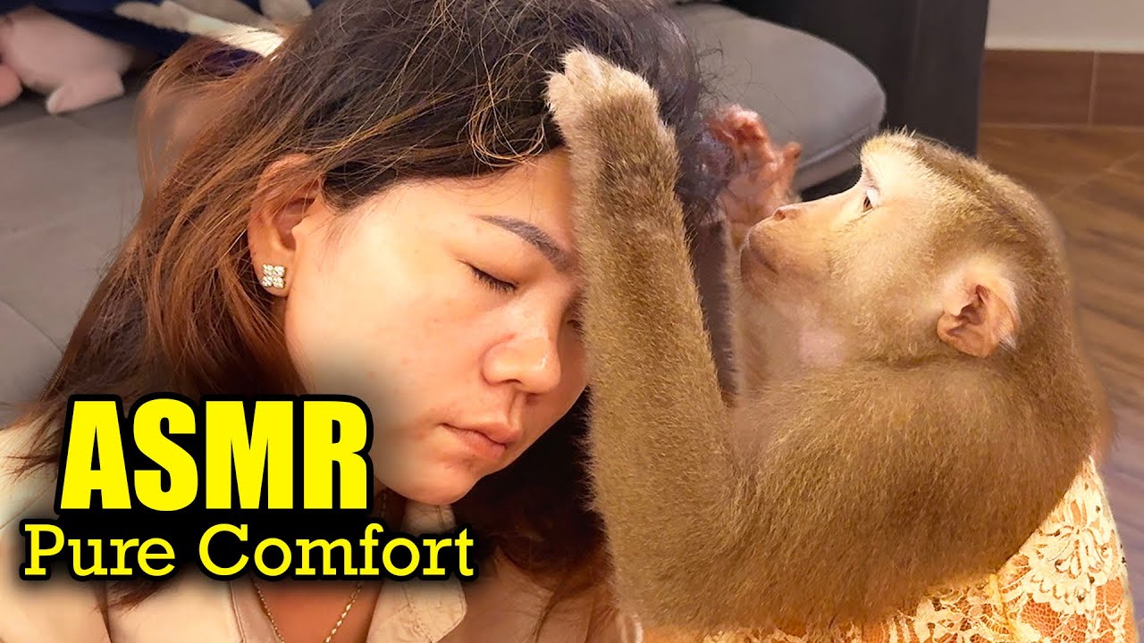 INSTANT TINGLES! Judy The Monkey’s ASMR Grooming for Deep Sleep