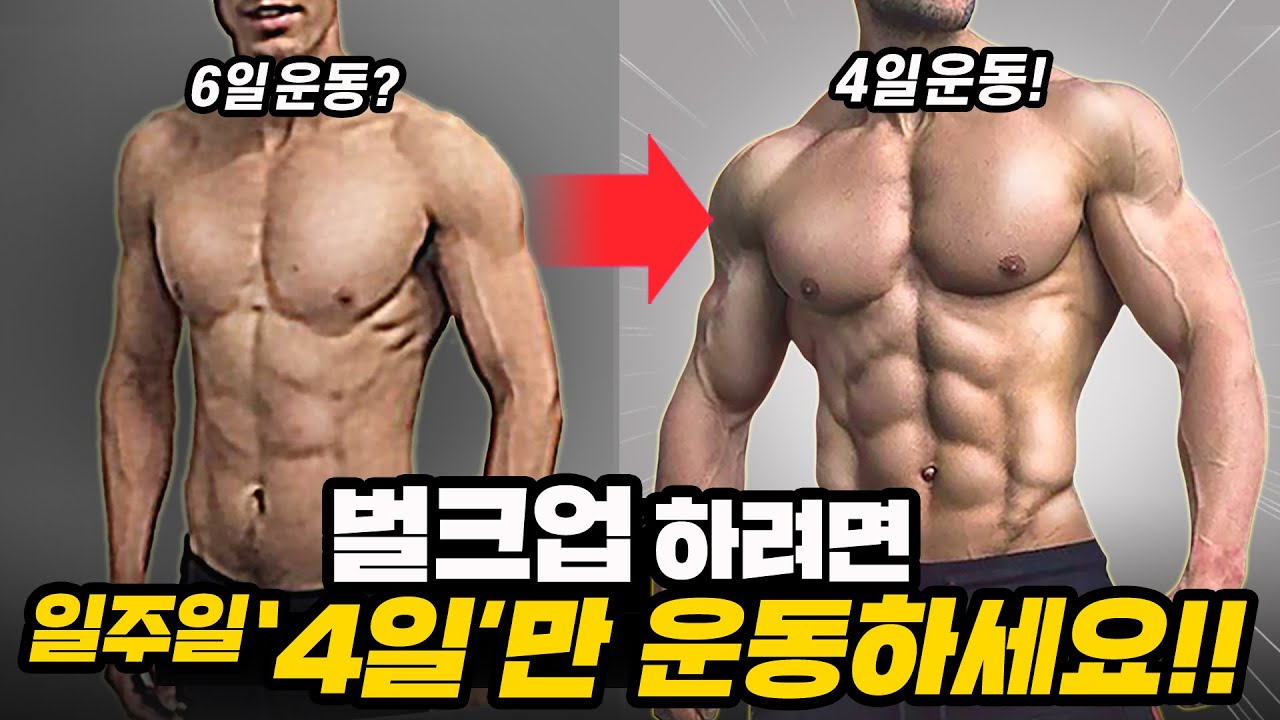 헬스 자주하면 '벌크업' 폭망하는 진짜 이유!? (헬스초보자를 위한 2분할 루틴/프로그램)
