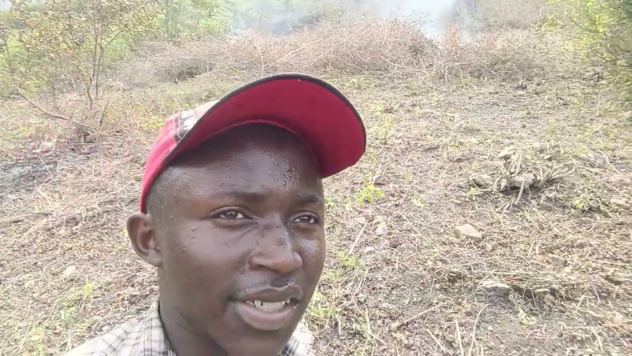 Hardwork pays, now at the land preparation process for our coffee growing project 