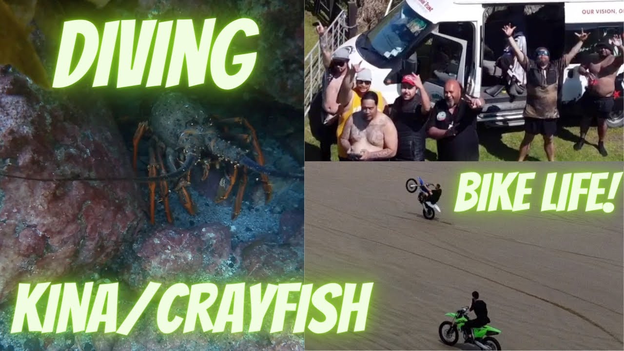 Diving For Kina And Crayfish