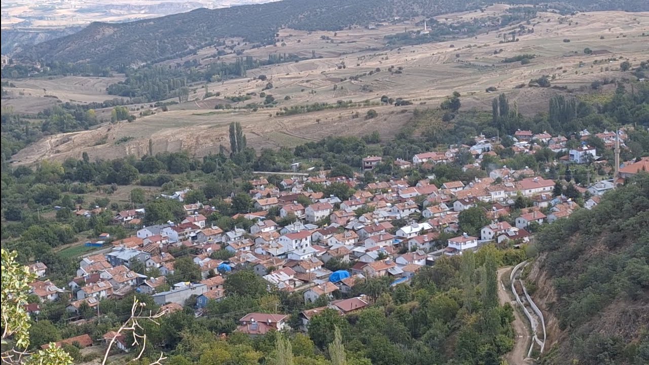 Büyük Sekiler Köyü Ağlat Dağı Yaylasında Kuşburnu Topladık