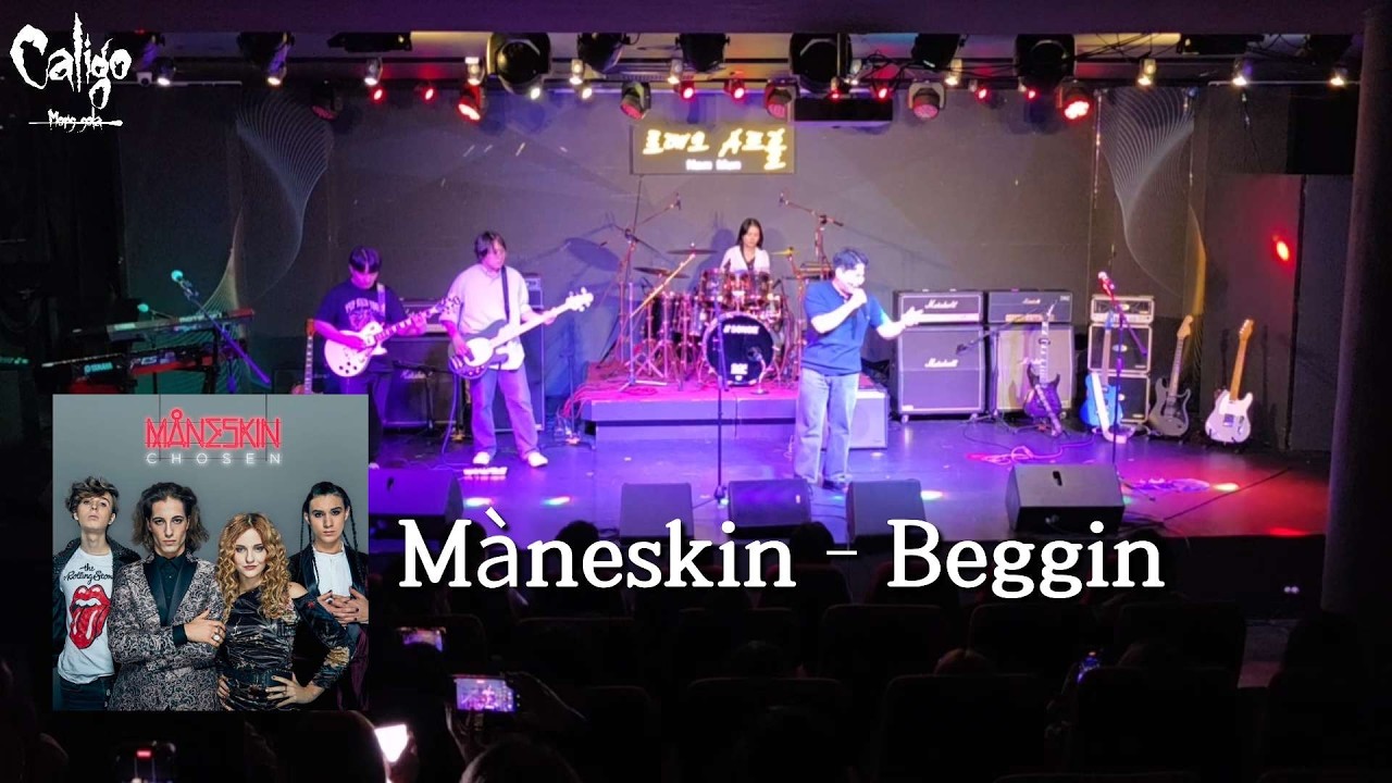 Måneskin - Beggin' | 직장인밴드 Caligo | cover