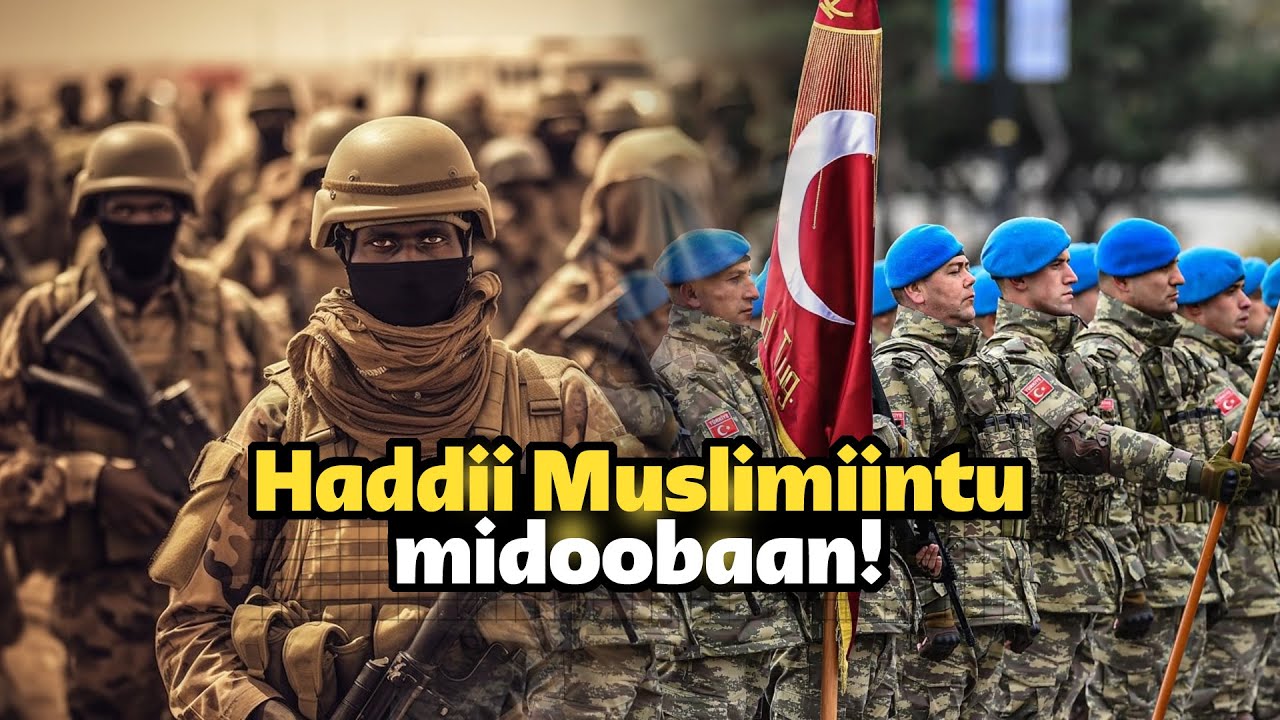 Haddii dalalka islaamku ay midoobaan maxaa dhici kara - Ma malaysan kartid awoodooda ciidan!