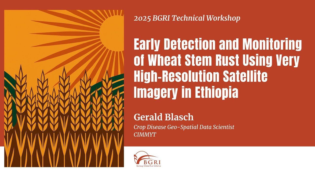 Early Detection & Monitoring of Wheat Stem Rust w/Very High-Resolution Satellite Imagery in Ethiopia