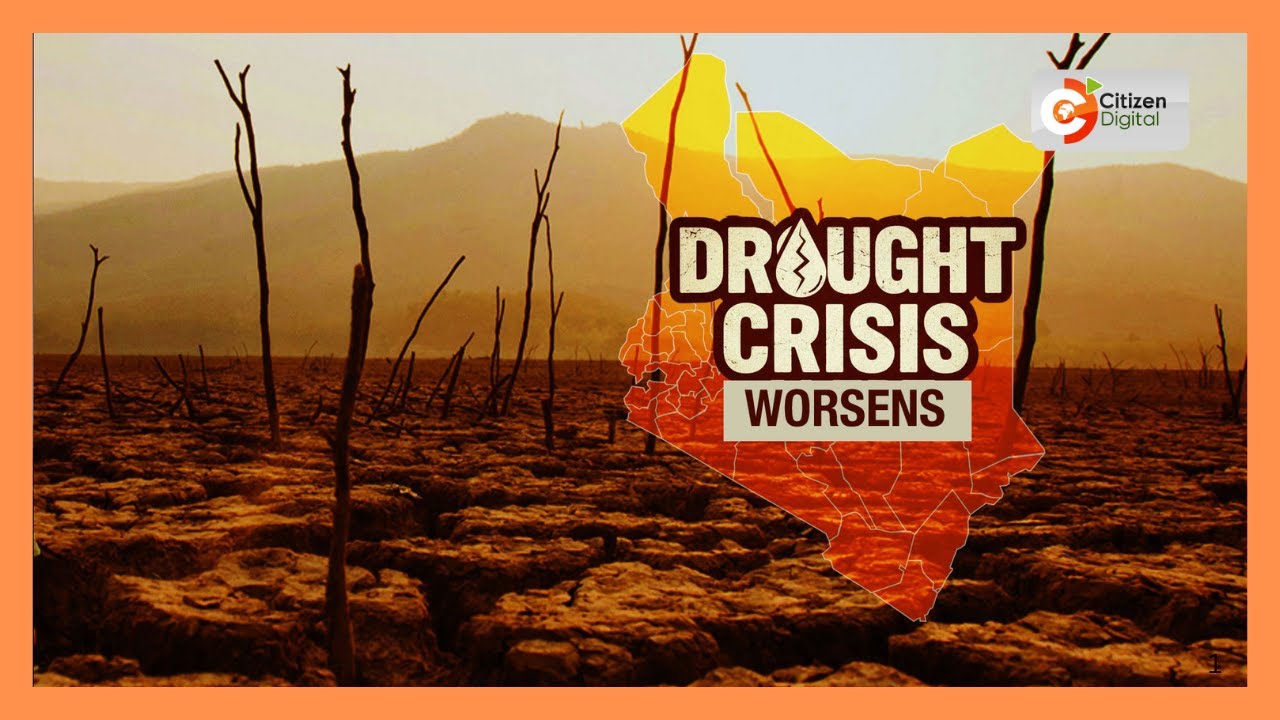 3.3 million Kenyans face hunger as four more counties enter drought crisis