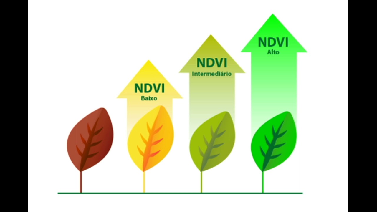 Assinatura Espectral dos Alvos: Vegetação
