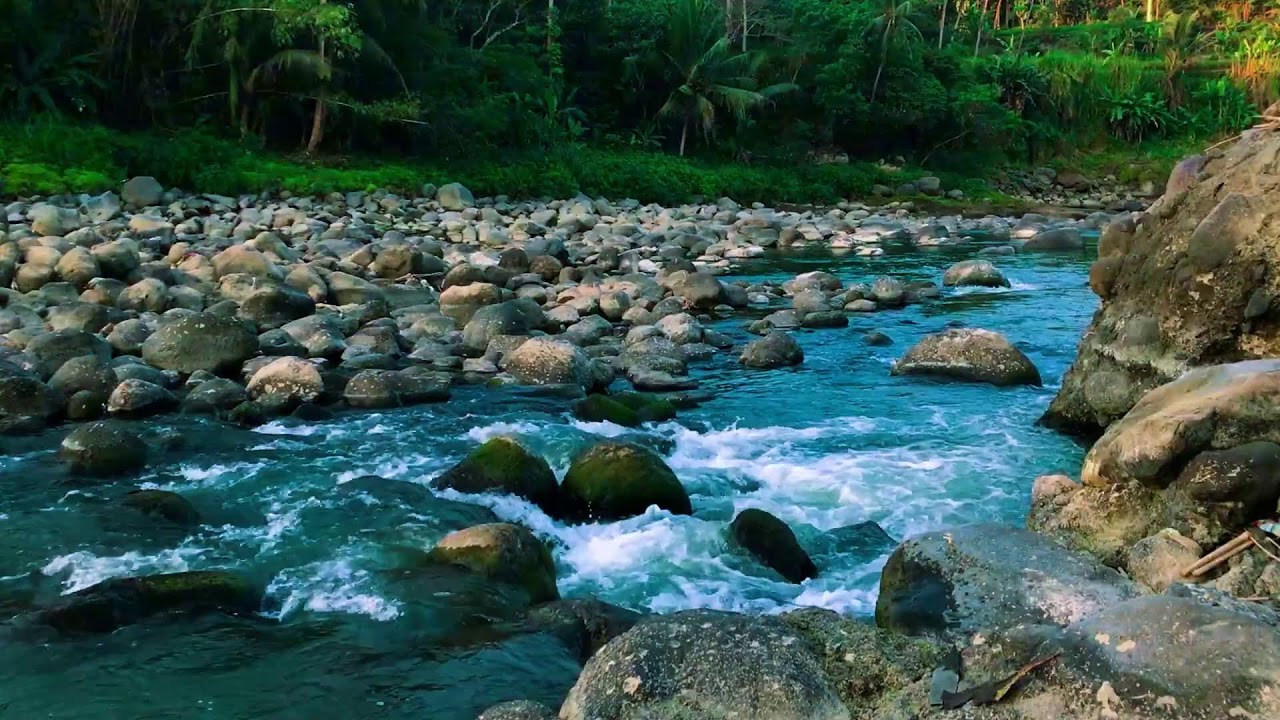 Stress-Free Green Stream Flow to help Deep Relaxation, Mental Healing & Productivity