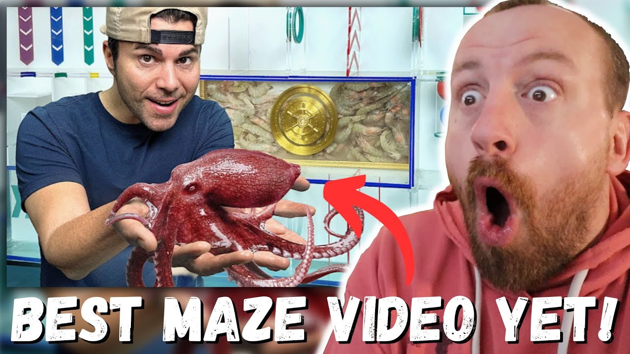 BEST MAZE VIDEO YET! Mark Rober Octopus vs Underwater Maze (FIRST REACTION!)