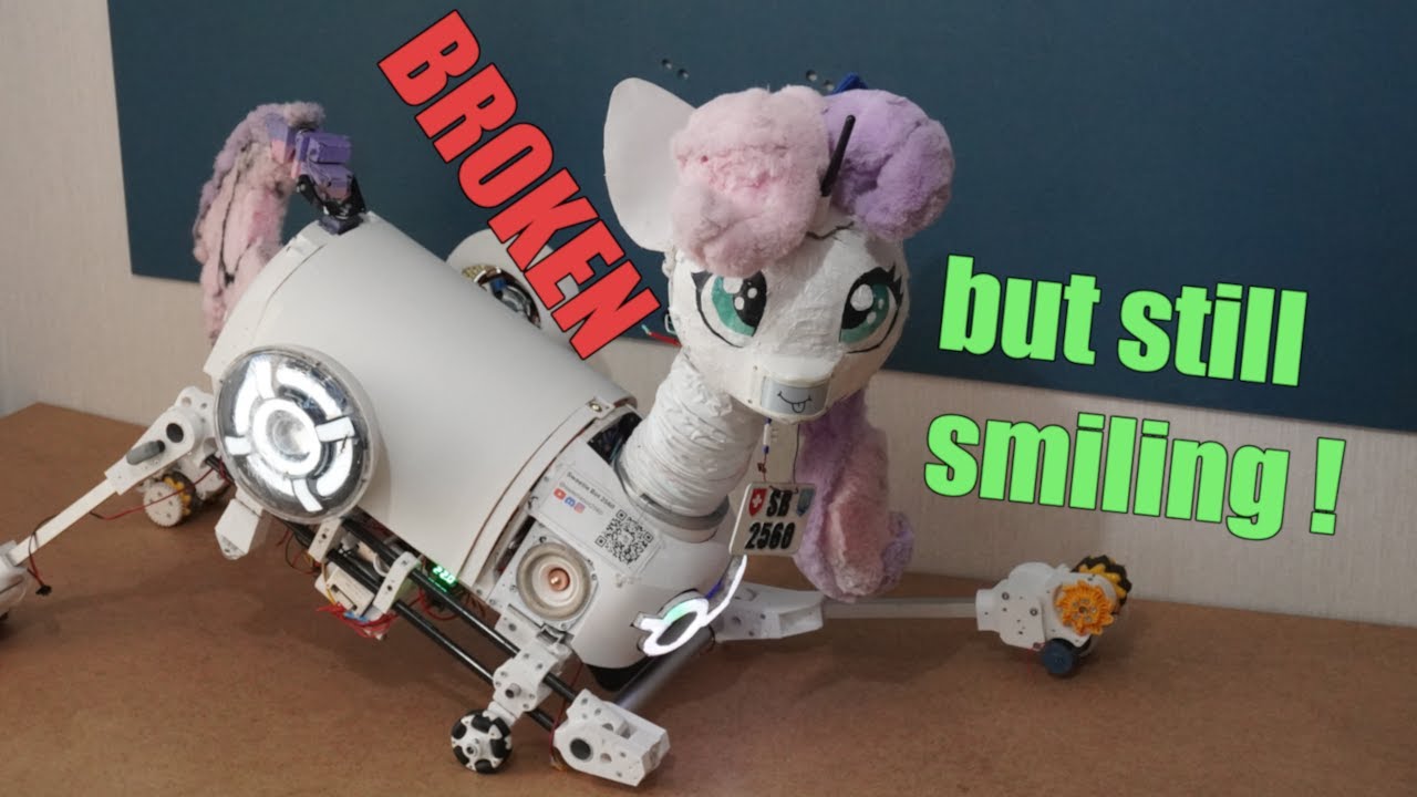 Sweetie is not giving up !