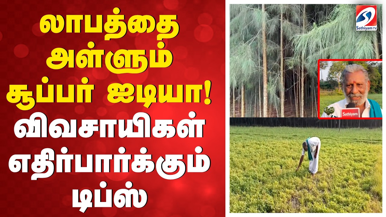 லாபத்தை அள்ளும் சூப்பர் ஐடியா! விவசாயிகள் எதிர்பார்க்கும் டிப்ஸ்