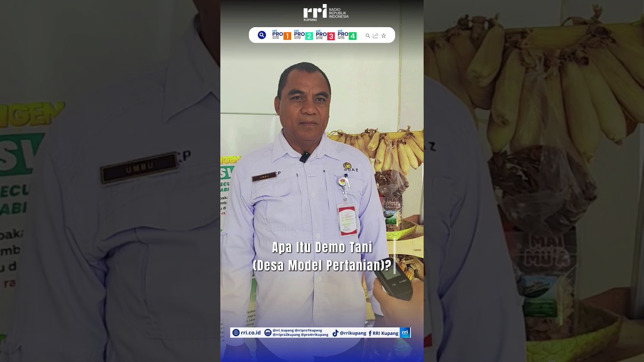 Kepala Dinas Pertanian dan Ketahanan Pangan Prov. NTT mengenai perkembangan sektor pertanian NTT