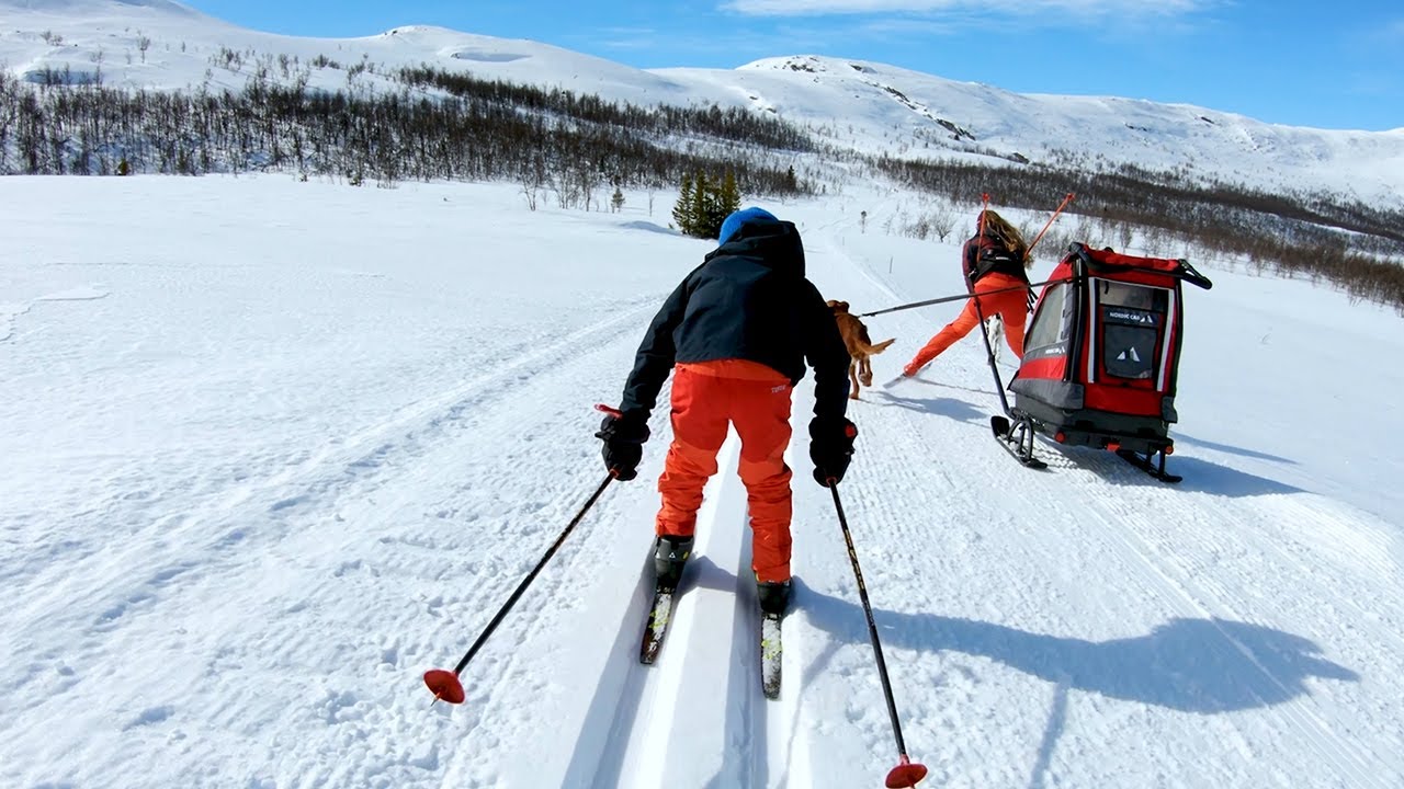 Winter Adventures Made Easy: Nordic Cab Cross Country Ski Sled / Pulk in Action | #pulk #barnepulk