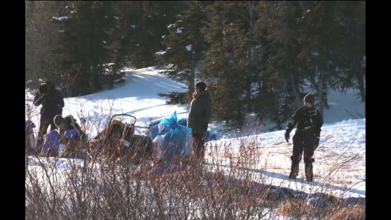 Iditarod 2024 - Pete Kaiser into Koyuk