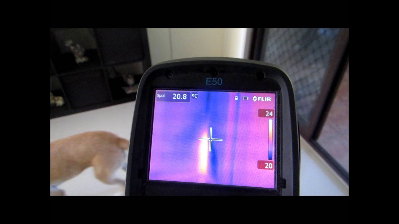Using a Thermal Camera to find a termite nest in a wall