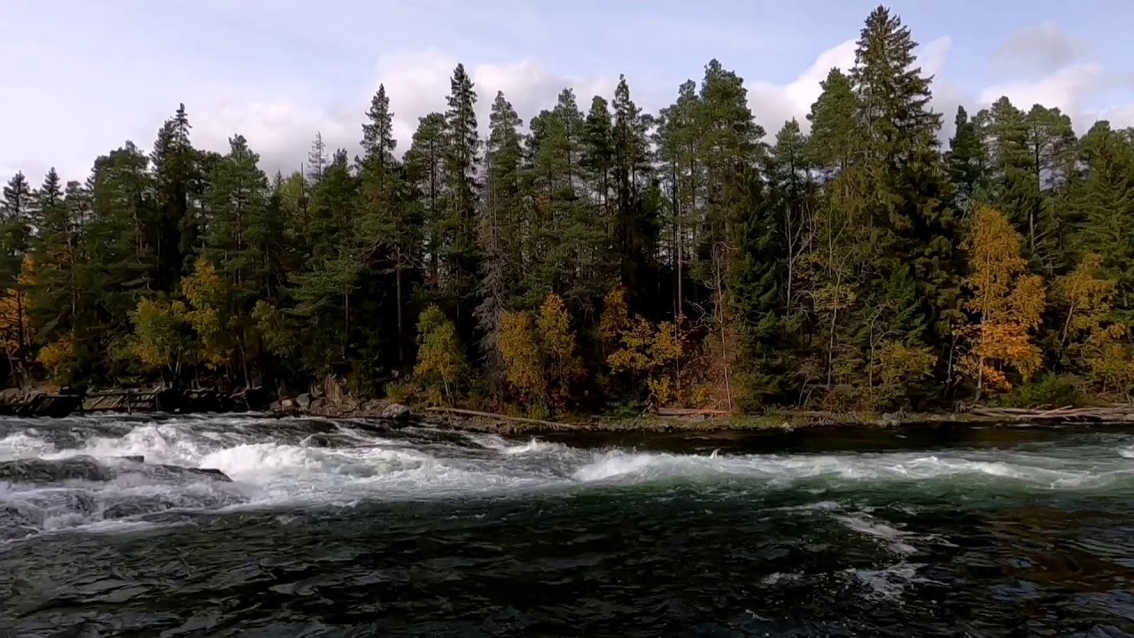 Fishing for trout in Norway 2020