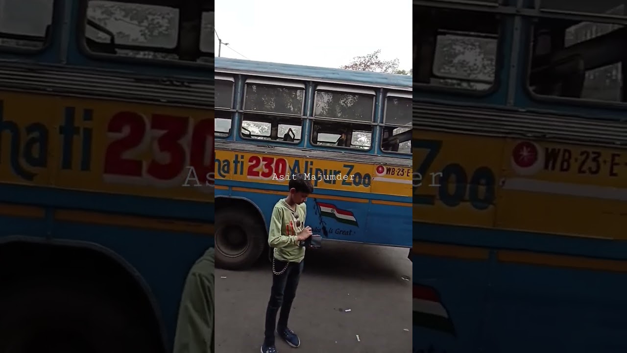 Route 230 (Alipur Zoo - Kamarhati) 🤩 Bus #viralshorts #shorts