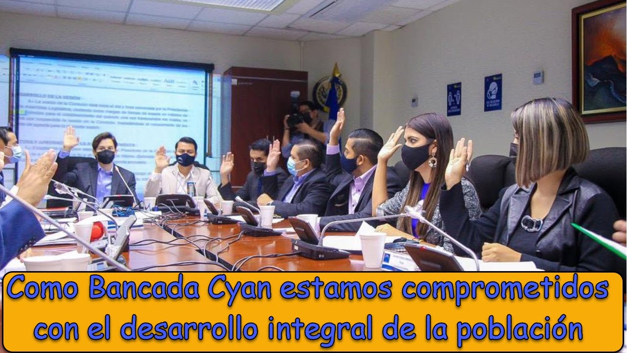La Bancada Cyan Ha Tenido que Hacerse Cargo del Trabajo que le Correspond&iacute;a a la Asamblea Anterior