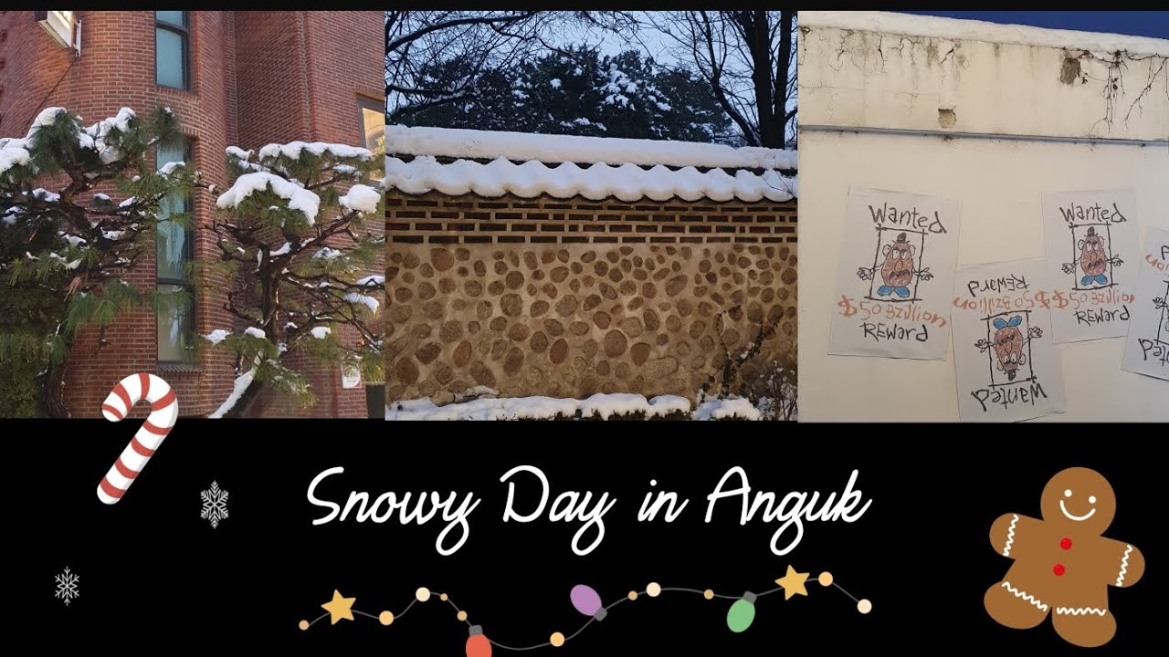 지난 2023 마지막 일상 vlog (예과 끝 / 프리아나토미 / 눈 내리는 안국/ 랜덤 뽑기 / 호떡 )