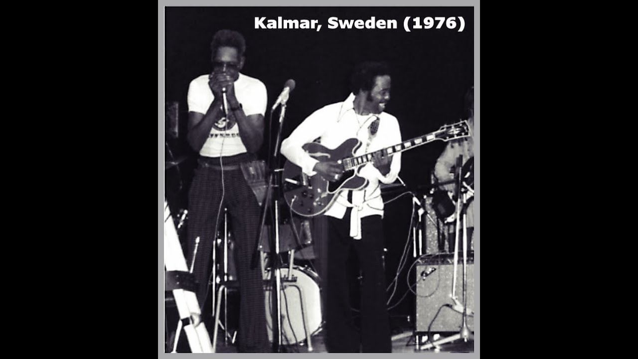 Big Walter Horton & Eddie Taylor @ Kalmar, Sweden (1976)