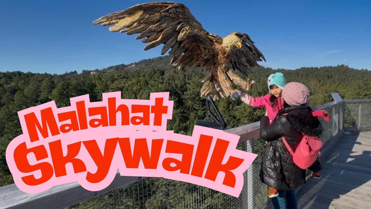 My Daughter Was Braver Than Me at Malahat SkyWalk| family day challenge 
