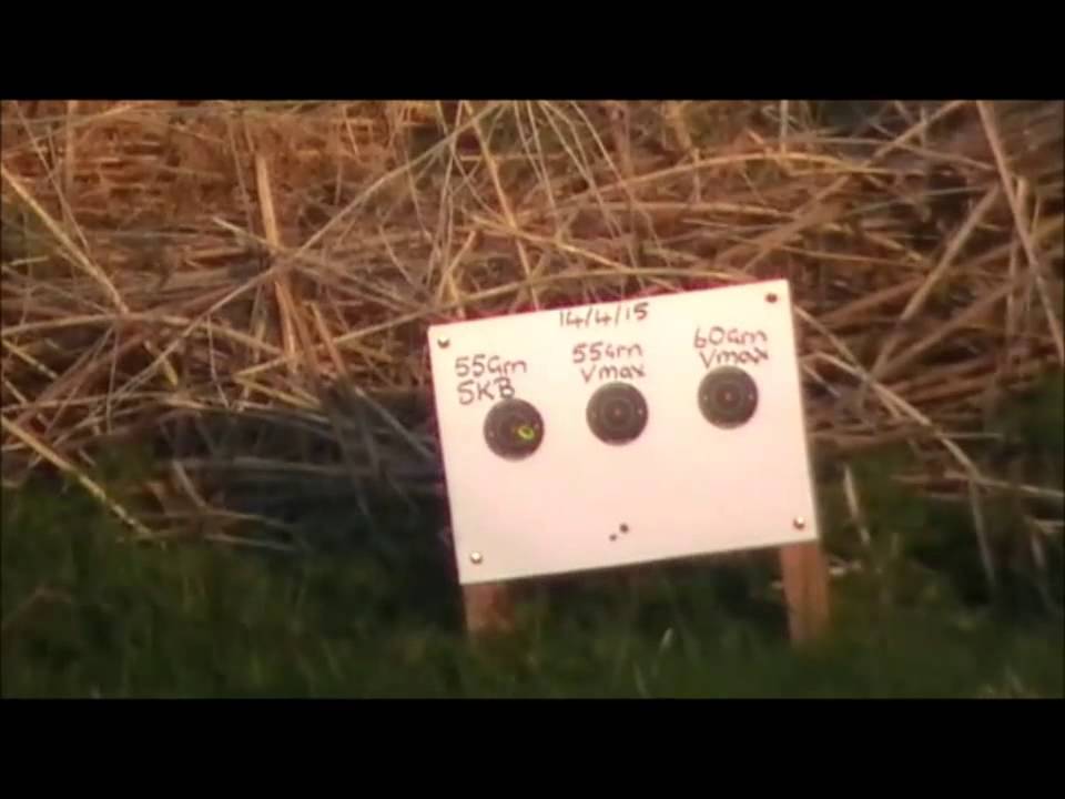 223 tikka  Sierra Blitzking v Vmax accuracy test
