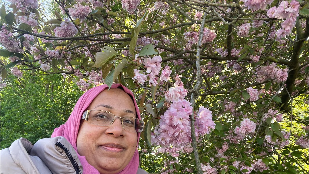 Beautiful cherry blossom 🌸In Birmingham