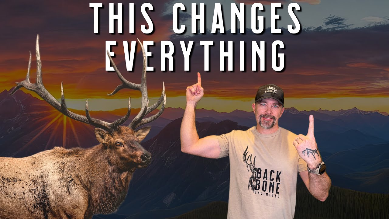 The #1 Reason Some Elk Hunters Kill Bulls Every Year