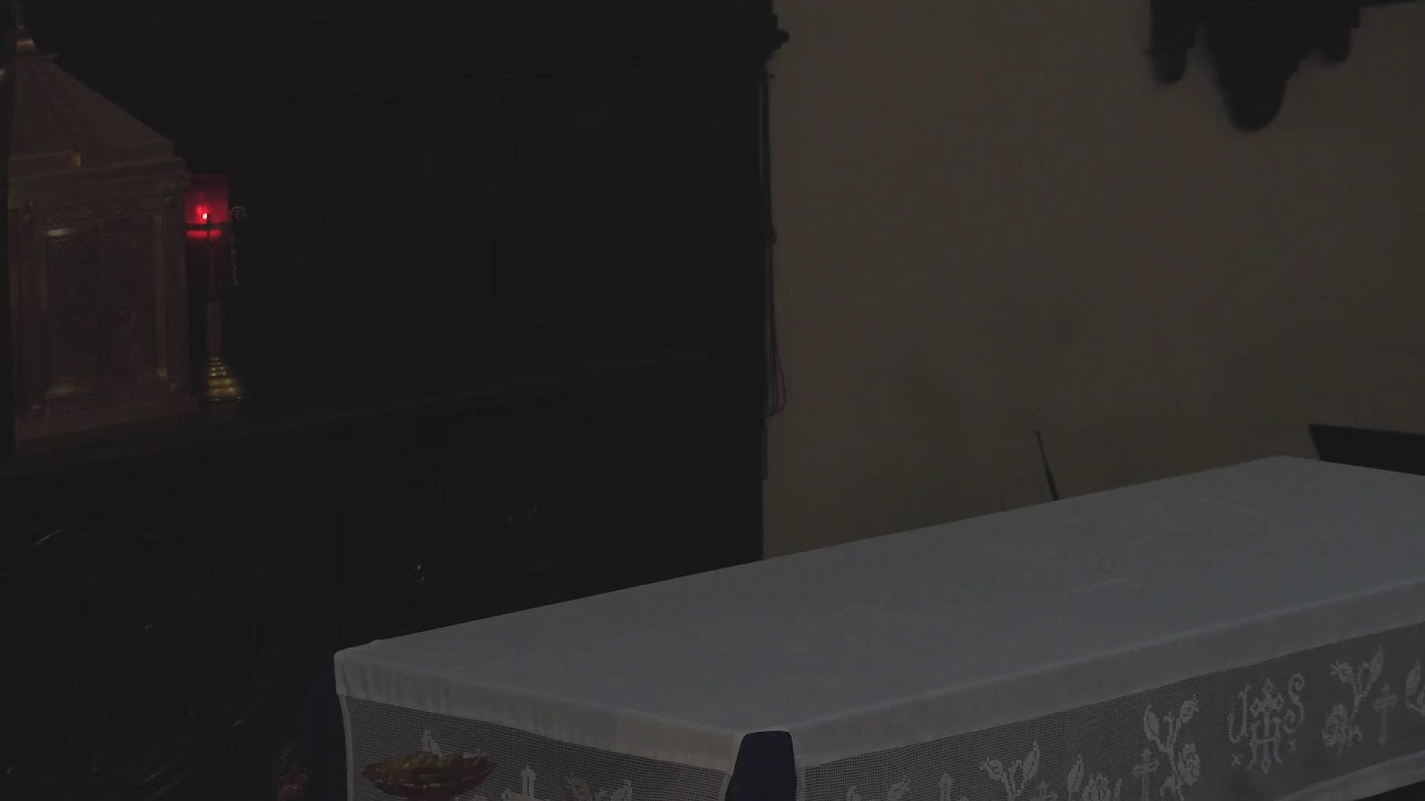 Santa Misa desde el Santuario de Guadalupe / RADIO SANTISIMO