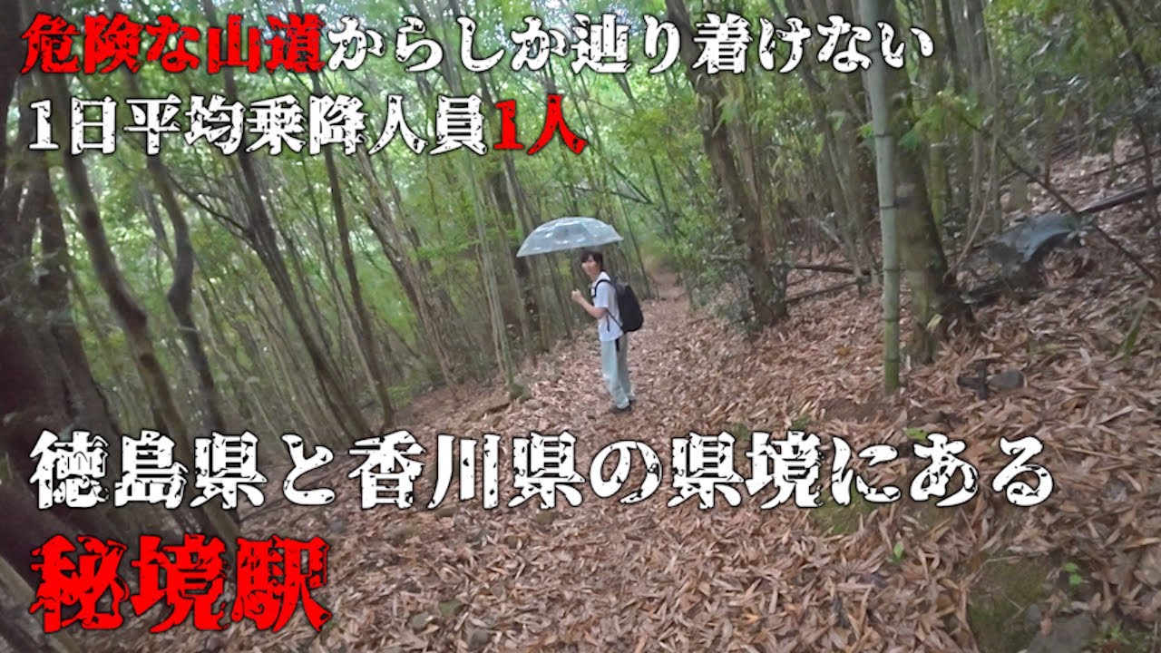 もう今は利用者0人じゃない？とんでもない場所にある四国で有名な秘境駅に繋がる山道が荒れ果てていた...