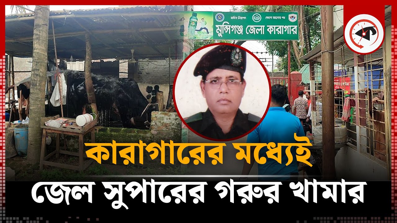 কারাগারে জেল সুপারের গরুর খামার, দেখভাল করছেন কারারক্ষীরা | Farm in Prison | Cow Farm | Munshiganj