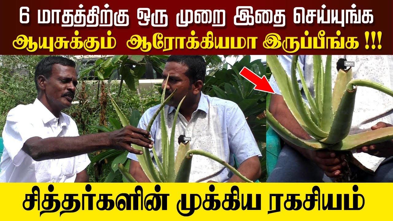 6 மாதத்திற்கு ஒரு முறை மட்டும்  இதை செய்யுங்க, ஆயுசுக்கும் ஆரோக்கியமா இருப்பீங்க
