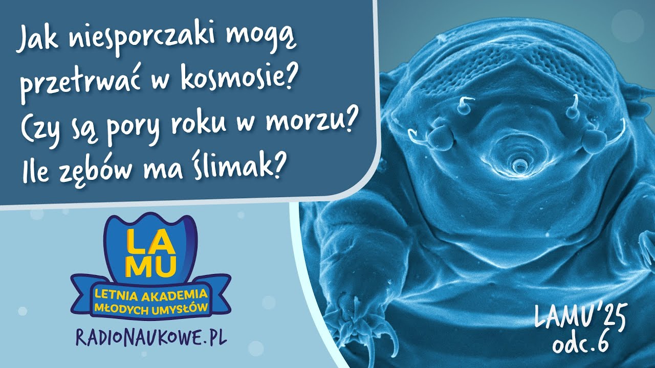 Ile zębów ma ślimak? Jak niesporczaki mogą przetrwać w kosmosie? | LAMU'25 | odc. 6
