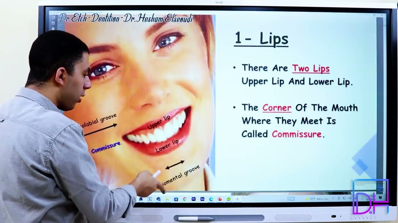 3- Surface Form of The Oral Cavity Dental Anatomy
